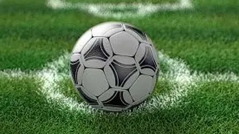 國家隊外卡爾埃爾莫索對法律保障提出質疑聲明